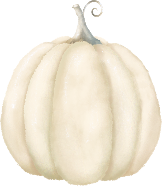 White pumpkin illustration