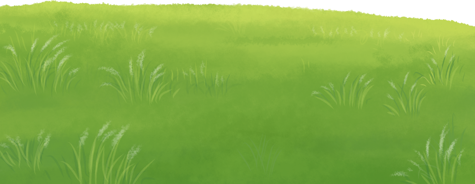 Grass landscape