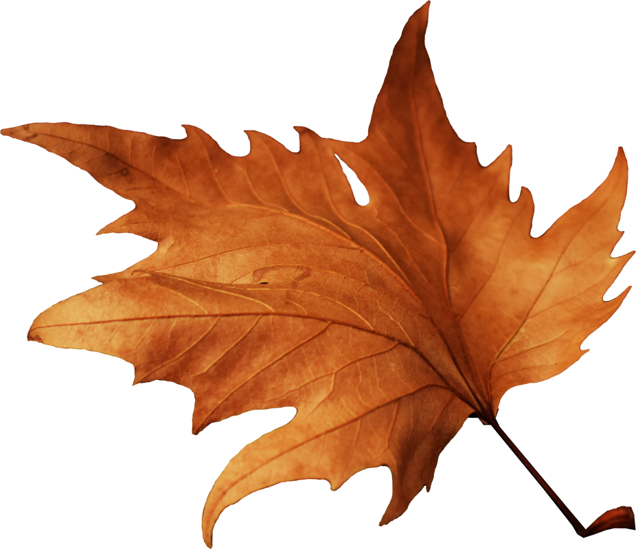 Autumn Leaf Cutout